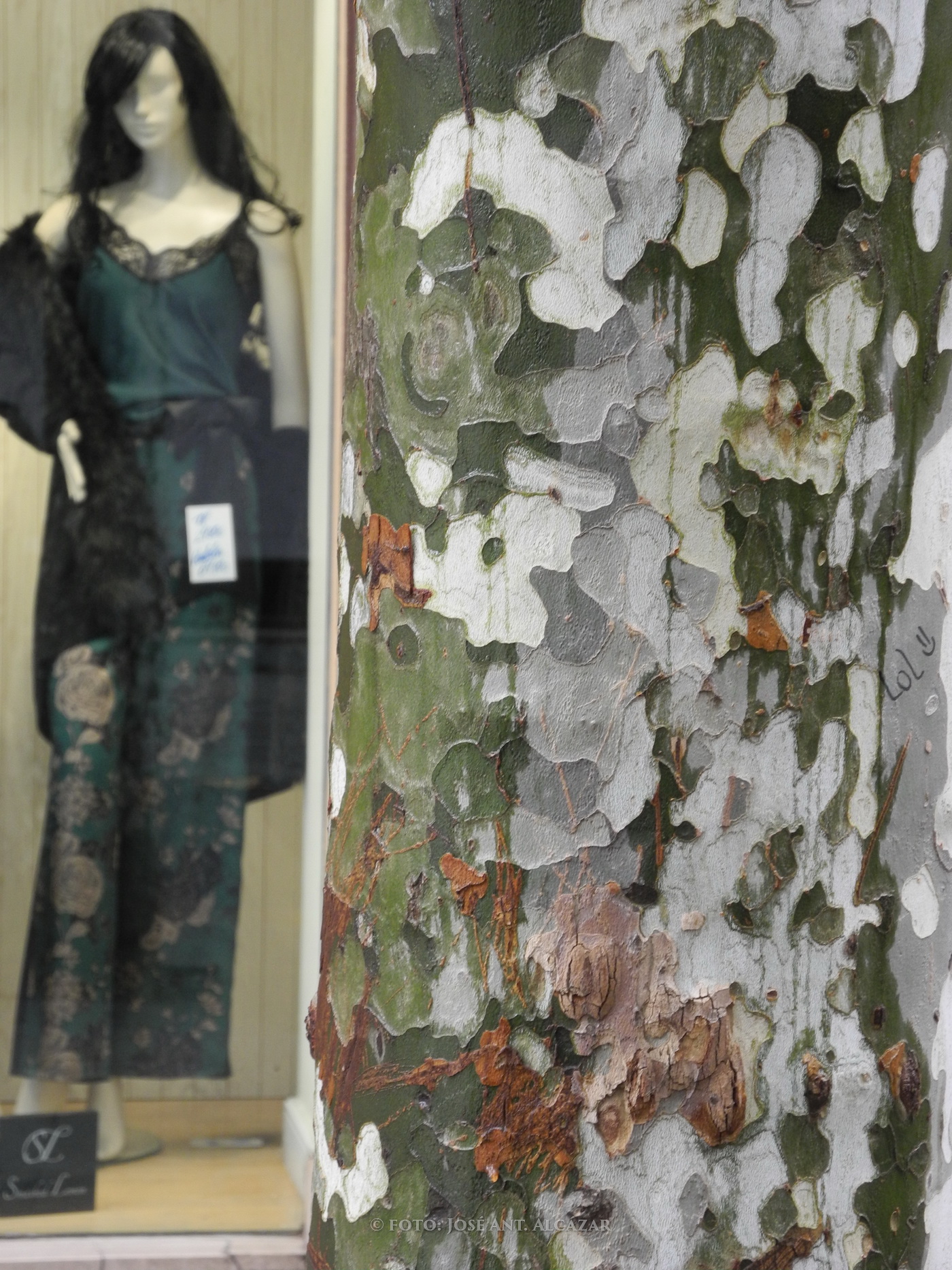 Primer plano de un tronco de árbol y en el fondo un maniquí con ropa de moda