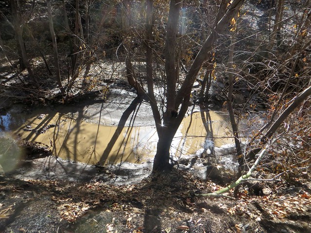 Solstice Creek runs thick with ash and mud