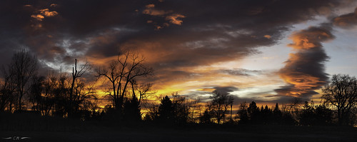 colorado landscape winter clouds cold dawn magichour morning morninglight panorama silhouette sunrise trees