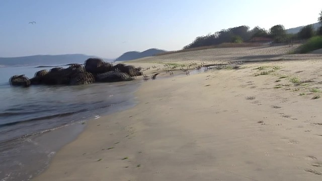 Una mañana en la segunda playa