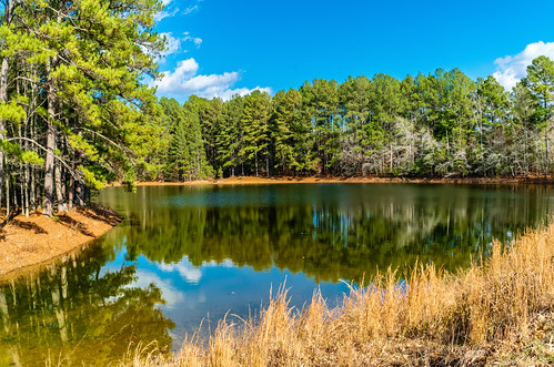 fairview fall hdr hiking landscape nature panorama sonya6500 sonyimages tennessee usa unitedstates valleygreenestates outdoors exif:isospeed=400 exif:aperture=ƒ80 exif:lens=epz18105mmf4goss exif:make=sony geo:country=unitedstates geo:lon=87149198333333 exif:focallength=18mm geo:state=tennessee geo:city=fairview geo:location=valleygreenestates camera:model=ilce6500 camera:make=sony geo:lat=35973388333333 exif:model=ilce6500