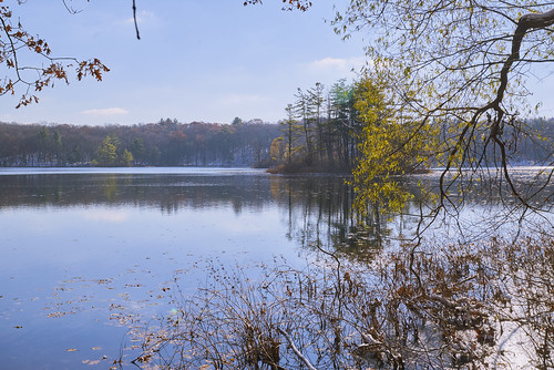 fall fallcolors lake lakeshore reflections island