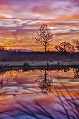 hdr sunrise pond water sun sky trees colour light morning shropshire clouds reeds