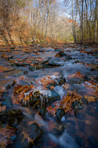 500px a7rii alpha autumn creek fall fullframe ice illinois leaves landscape outdoor raw river sawmillcreek sony stream tumblr twitter waterfallglen lemont unitedstates us