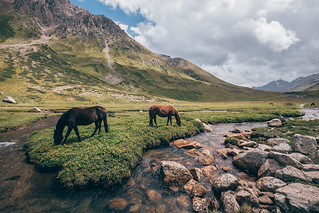 Kyrgyzstan - Jyrgalan Valley