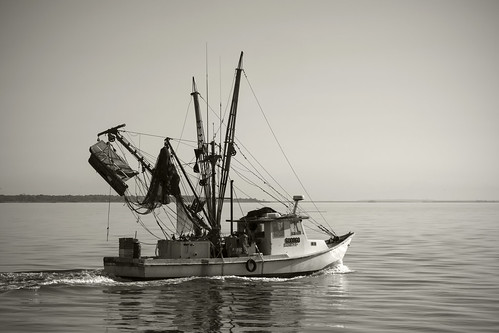 boats blackandwhite bw fishing houston houstontx shrimp lobster morning sunlight net olympus olympusomd em1markii micro43 zuiko 12100mmf4zuiko zd