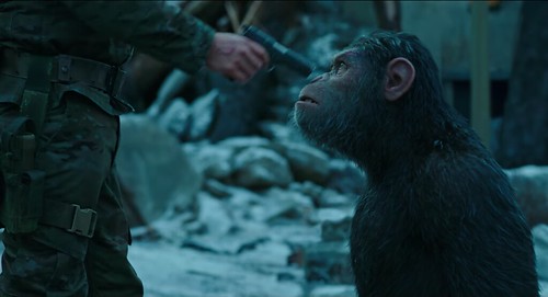 War-For-The-Planet-Of-The-Apes