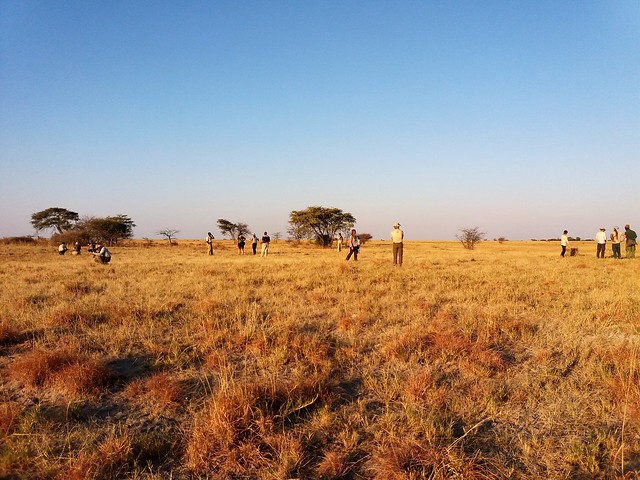 POR ZIMBABWE Y BOTSWANA, DE NOVATOS EN EL AFRICA AUSTRAL - Blogs de Africa Sur - Makgadikgadi Pans: entre boabads, suricatos y noche en Ntwetwe Pan. (31)