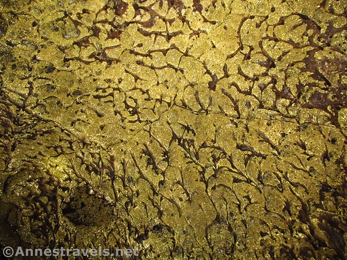 The ceiling in Golden Dome Cave, Lava Beds National Monument, California