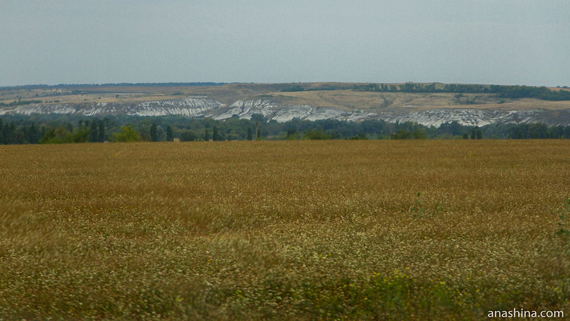 Меловые горы, Воронежская область