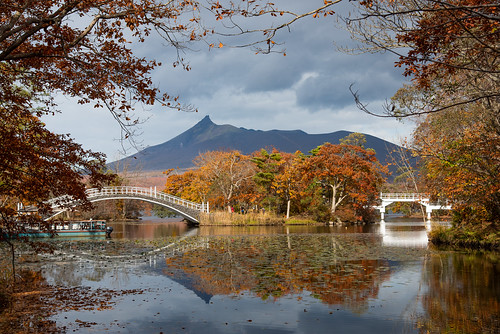 japan 日本 tree 樹 風景 landscape 橋 bridge