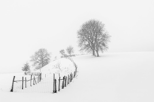 snow schnee winter winterbeauty blackandwhite schwarzweis tree baum fence zaun hjuengst nikond7200