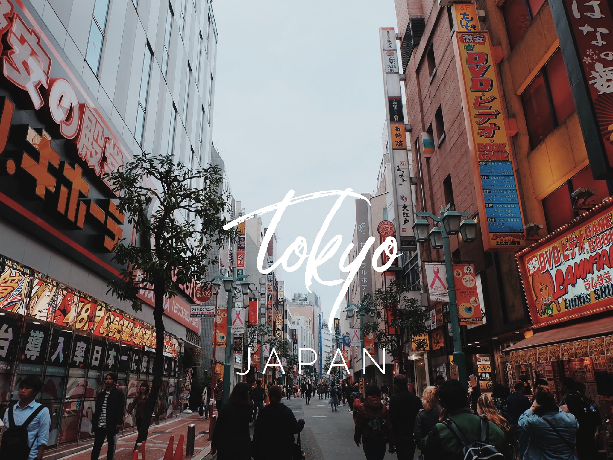 tokyo travel guide 2019