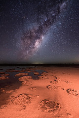 Lake Thetis Milky Way - Cervantes, Western Australia