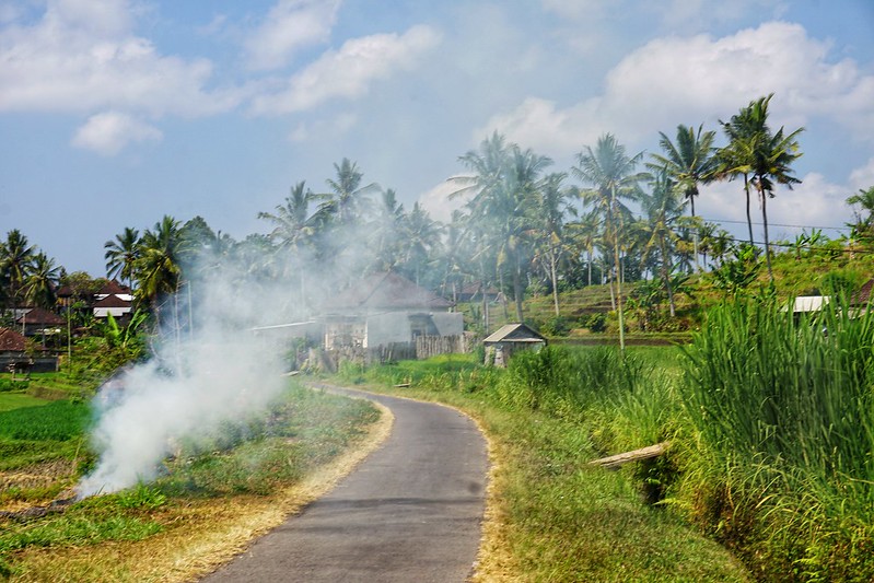 Burning dry grasses in the rice fields of Bali