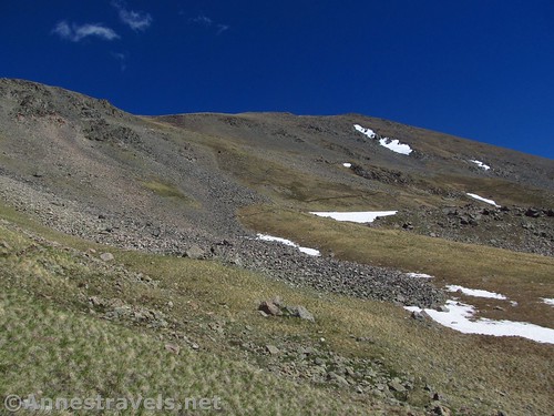 Looking up toward Wheeler Peak along the Wheeler Peak Trail, Carson National Forest, New Mexico