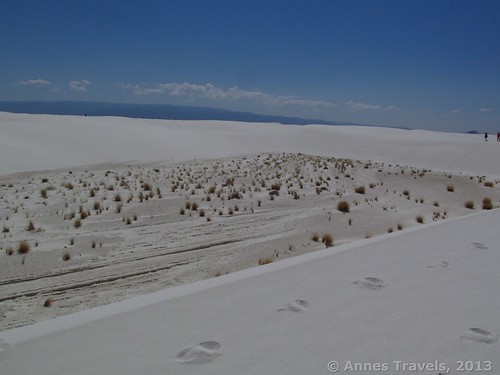 A hollow between the sand dunes filled with desert plants, White Sands National Monument, New Mexico