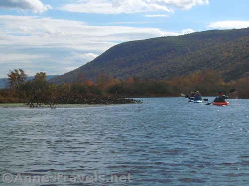 We paddled to both ends of Honeoye Lake. This was paddling up the lake's inlet. New York