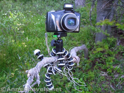Real set up of a camera on the GorillaPod Hybrid Tripod for a family shot in Elk Meadow