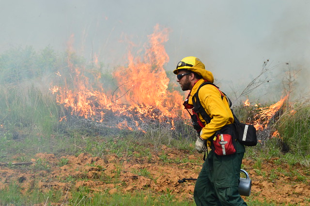 Ask a Ranger to see why the park you visit uses fire for management