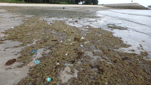 Litter on the shore at Seringat-Kias