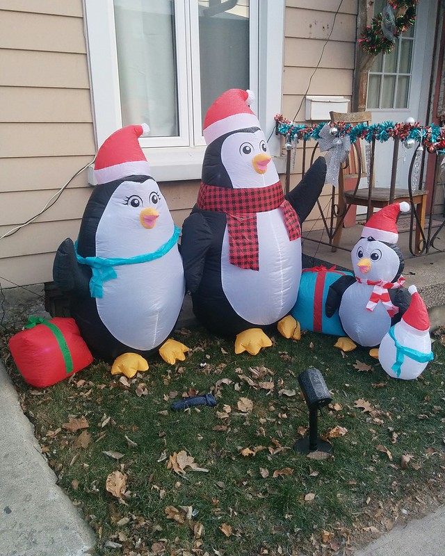 Holiday penguins of Dupont Street #toronto #dovercourtvillage #dupontstreet #christmas #holidays #penguin