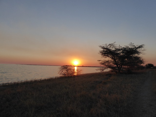 POR ZIMBABWE Y BOTSWANA, DE NOVATOS EN EL AFRICA AUSTRAL - Blogs de Africa Sur - Cruce de Zimbabwe a Botswana. Nata, santuario de aves (17)