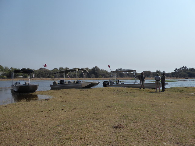 POR ZIMBABWE Y BOTSWANA, DE NOVATOS EN EL AFRICA AUSTRAL - Blogs de Africa Sur - Traslado a Maun. Nos adentramos en el Delta del Okavango (1)