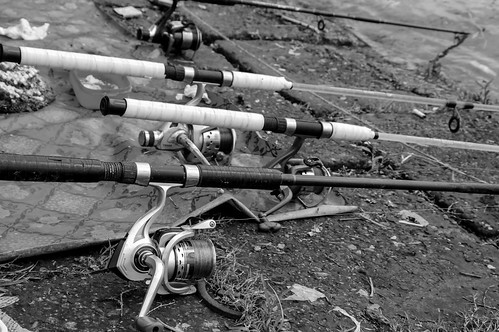 fishing rod rods reel reels mahamayalake chittagong bangladesh