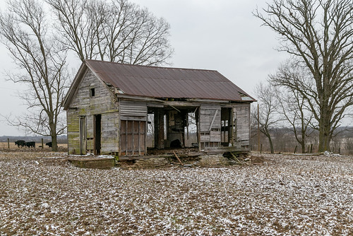 paris kentucky unitedstatesofamerica us abandoned schoolhouse onestory frontgabled balloonframe woodsiding clapboard cows pasture ruined ruinous building structure education vacant trees snow missingwalls bourboncounty shawhan
