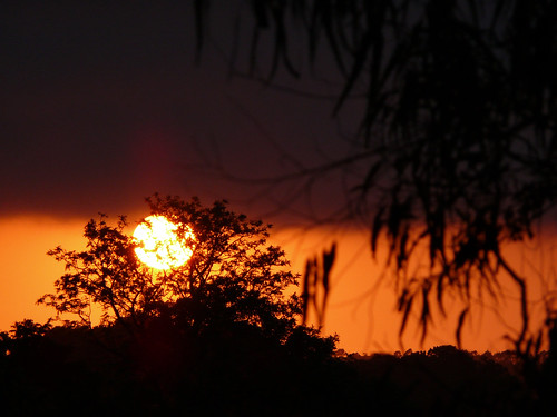 australia maleny queensland sunshinecoast clouds hinterland sky sunrise trees weather