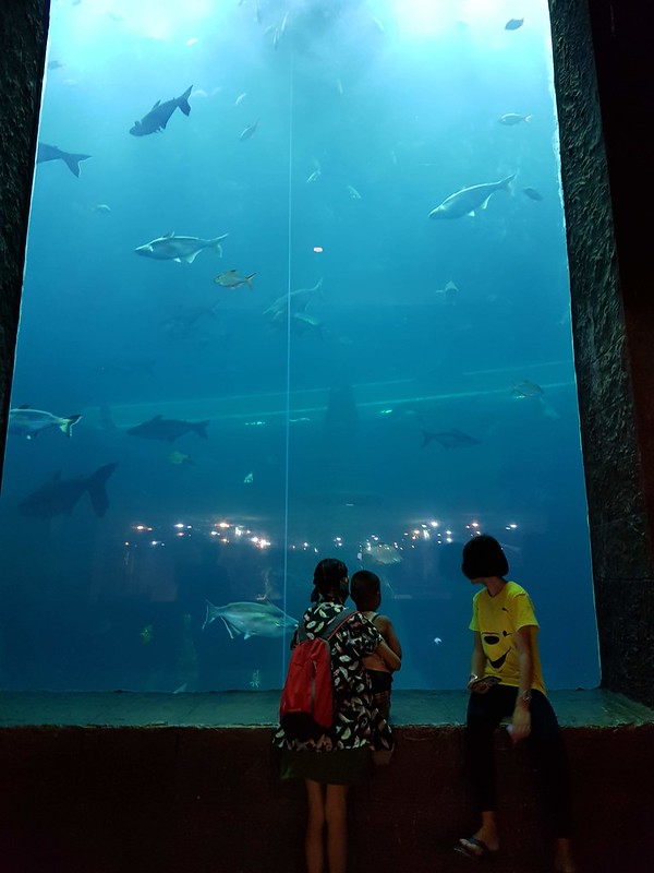 Nong Khai Aquarium - miscellaneous scenes 3