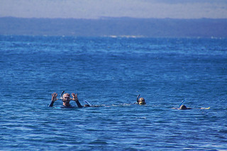20-488 Arjan snorkelt