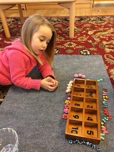 number sorting tray