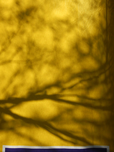 Shadows of branches on a yellow banner in Vancouver