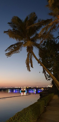 sunset creek karachi beach ocean palm fronds dusk bluehour reflections water palmtree pakistan sky twilight boat