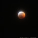 Eclipse of the Super Blood Wolf Moon   Beavercreek, Oregon    MG 7326