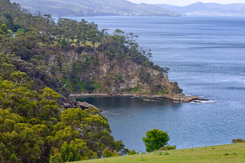 bay beach sand sea cliffs tasmania landscape seascape trees