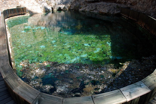 Banff Springs Snail Pool. From History Comes Alive in Banff National Park