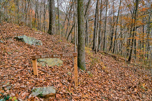 comfort dennycove hiking nature sequatchie sonya6500 sonyimages southcumberlandstatepark tnstateparks tennessee usa unitedstates outdoors exif:isospeed=400 exif:aperture=ƒ80 exif:lens=epz18105mmf4goss exif:make=sony geo:country=unitedstates geo:lat=3515301025 exif:focallength=18mm geo:state=tennessee geo:location=comfort geo:lon=856769981 geo:city=sequatchie camera:make=sony camera:model=ilce6500 exif:model=ilce6500
