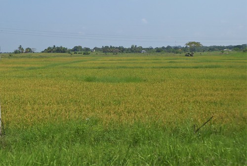 sl-3 batticaloa-polonnaruwa (10)