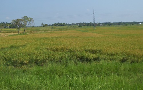 sl-3 batticaloa-polonnaruwa (14)