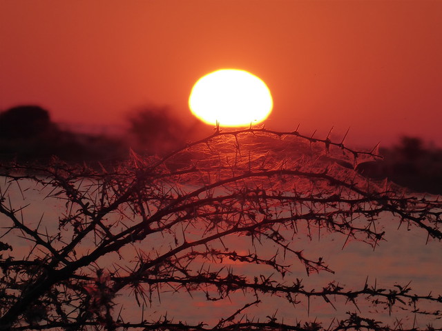 POR ZIMBABWE Y BOTSWANA, DE NOVATOS EN EL AFRICA AUSTRAL - Blogs de Africa Sur - Cruce de Zimbabwe a Botswana. Nata, santuario de aves (19)