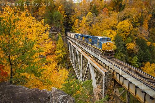 Fall on the Clinchfield
