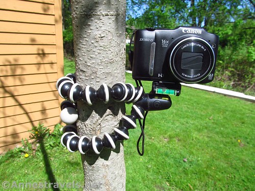 GorillaPod Hybrid Tripod attaches a camera to a tree