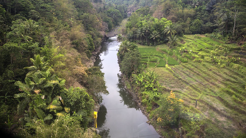 vacation holiday asia indonesië indonesia java trainride kalodaya stream river creek green landscape id