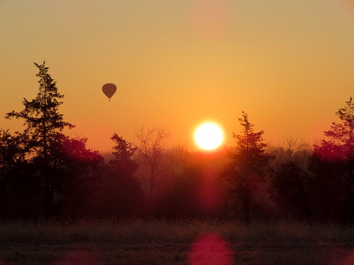 hot air balloon whitehouse station nj readington sunrise trees