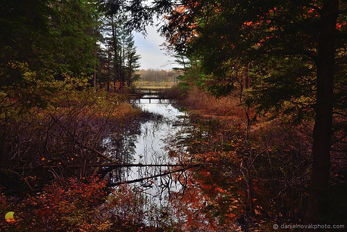 rushford newyork unitedstates usa ny western fall autumn colors moss lake pond water light reflection photography photo moody foliage leaves nature outdoors landscape scenic