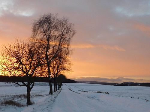sonnenuntergang sunset landschaft winterlandschaft wintersonne schneelandschaft schnee snow oberpfalz upper palatinate bäume trees wolken himmel clouds sky