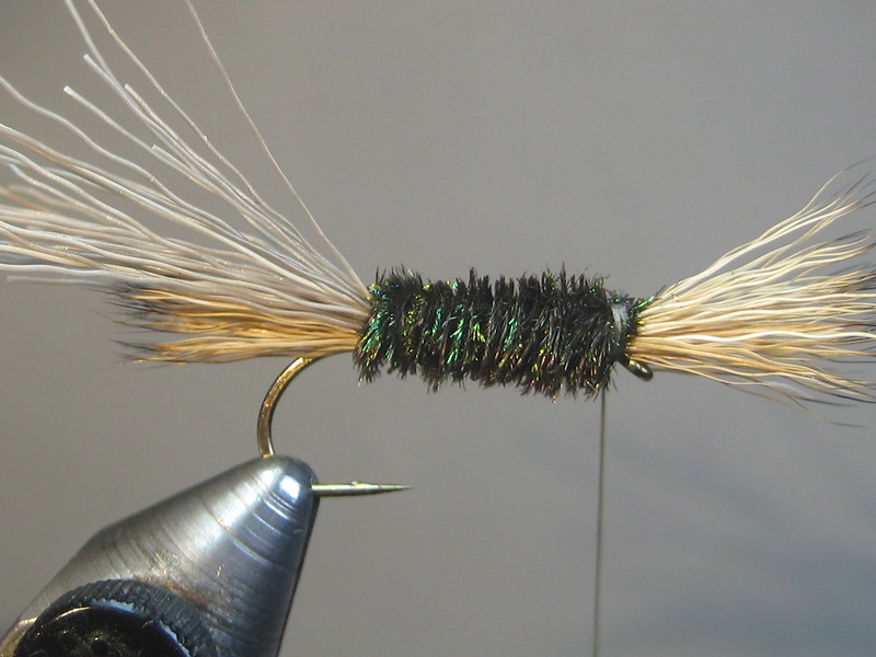 Tom Thumb fly